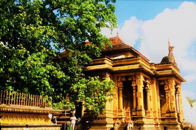 Private Night Tour in Colombo with Street Food Tasting - Arcade Independence Square and Viharamahadevi Park: Night City Landmarks