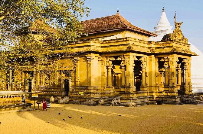 Private Night Tour in Colombo with Street Food Tasting - Kelaniya Raja Maha Vihara: Where the Night Feels Peaceful