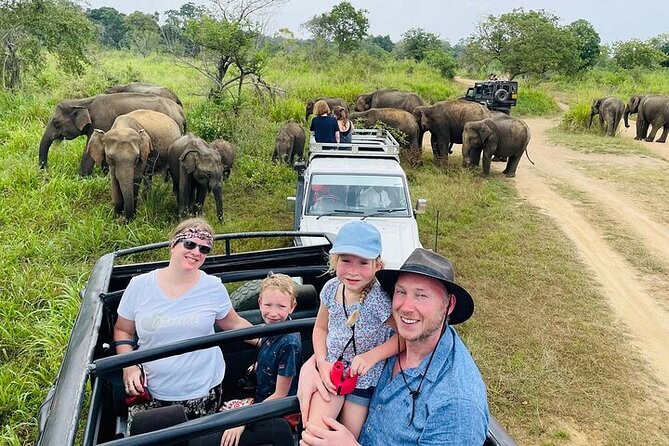 Private Polonnaruwa Ruins & Minneriya Safari Tour from Sigiriya - How this Polonnaruwa to Minneriya day makes sense from Sigiriya