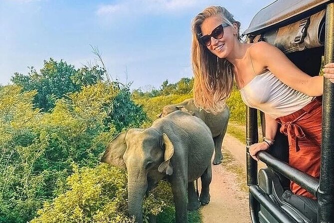 Private Polonnaruwa Ruins & Minneriya Safari Tour from Sigiriya - Vehicle choices, comfort, and why the right car changes the day
