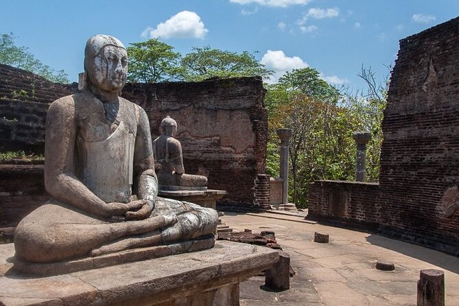 Private Polonnaruwa Ruins & Minneriya Safari Tour from Sigiriya - Who should book this Polonnaruwa and Minneriya private tour