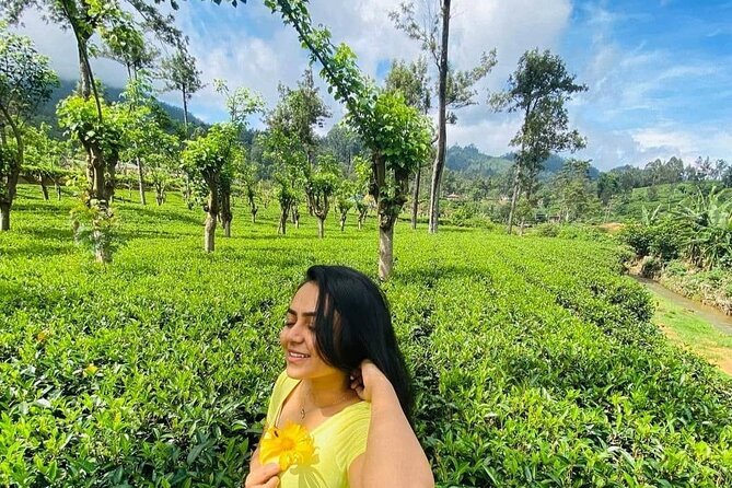 Private Ravana Falls and Nine Arches Bridge Ella Tour from Galle - Ella and tea estates: the highland breathing room between viewpoints