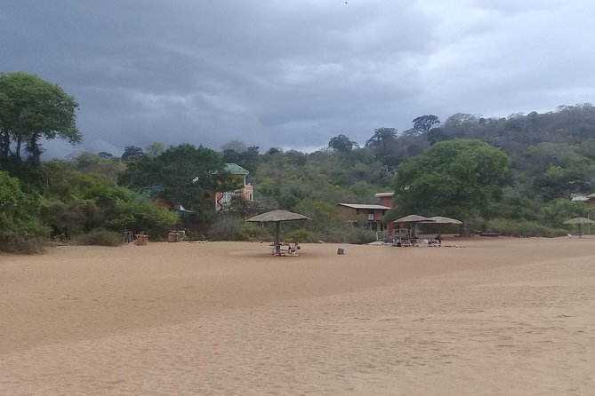 Private tour day tour trincomalee - Comfort, weather, and how to avoid a frustrating day