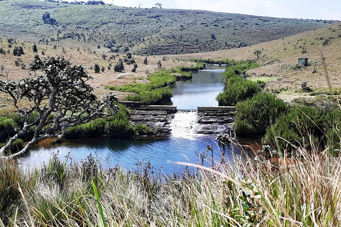 Private Tour in Horton Plains National Park ( World's End) with Pickup - Nuwara Eliya pickup, early wake-up, and smart time use