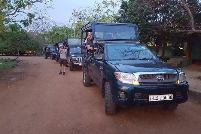 Private Tour : YALA National Park with Experienced Driver and Guide - Private safari logistics, pickup, and what 5 hours really buys you