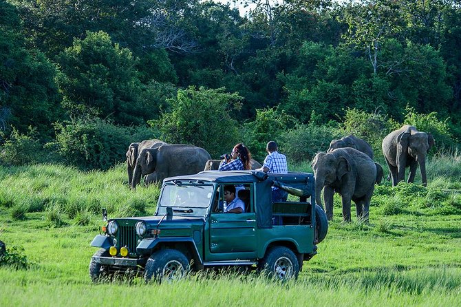 Private Trip to Sigiriya, Dambulla & safari from Colombo/ Negombo - Price and logistics: is $67 good value for this route?