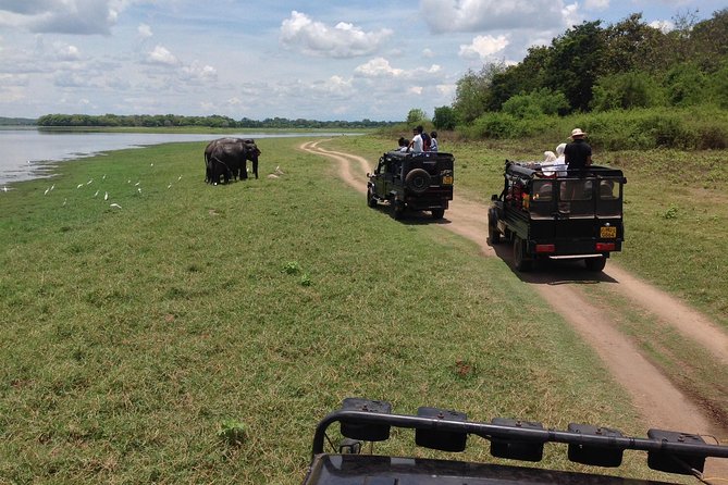 Private Trip to Sigiriya, Dambulla & safari from Colombo/ Negombo - A smooth day requires smart expectations