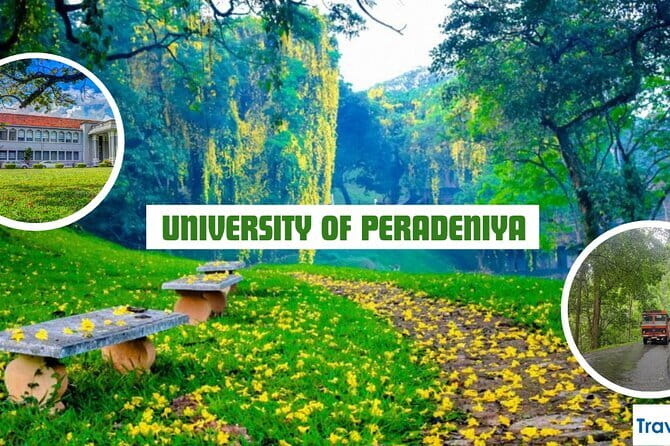 Private Tuk Tuk Tour of Kandy City & Surroundings - Stop 3: Royal Botanical Garden of Peradeniya, two hours that feel like a reset