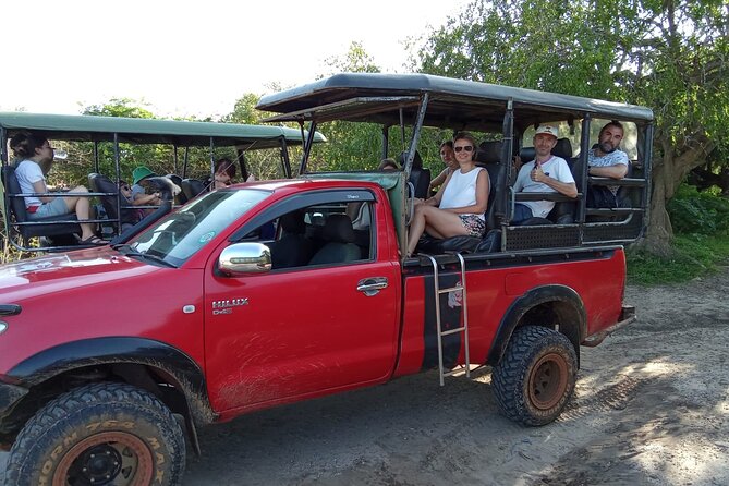 Private Wilpatu National Park Leopard safari from Colombo/Negambo - Wilpattu National Park leopard safari, why this park feels different