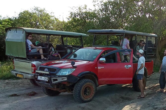 Private Wilpatu National Park Leopard safari from Colombo/Negambo - Lunch inside Wilpattu, why it matters more than you think