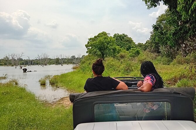 Private Wilpatu National Park Leopard safari from Colombo/Negambo - Your game drive at Wilpattu, what you’re actually hoping to spot