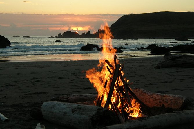 Private Yala Safari Day Trip & Exclusive Beach BBQ Dinner - Pickup and timing: why 2:30pm matters