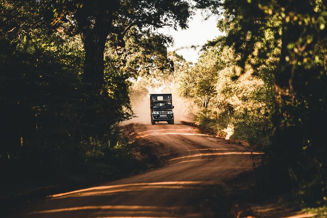 Private Yala Safari Day Trip & Exclusive Beach BBQ Dinner - The 4-course BBQ: what you should expect to eat