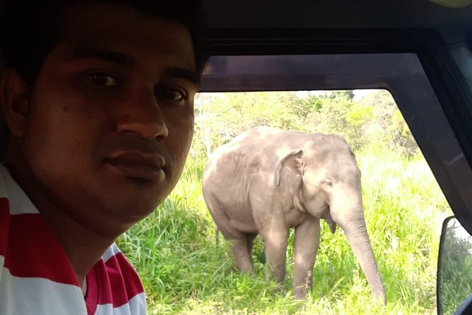 Rangiri Jeep Safari Sigiriya Lion Rock & Evening Jeep Safari - Timing and Weather: Planning Your Day Around Good Conditions