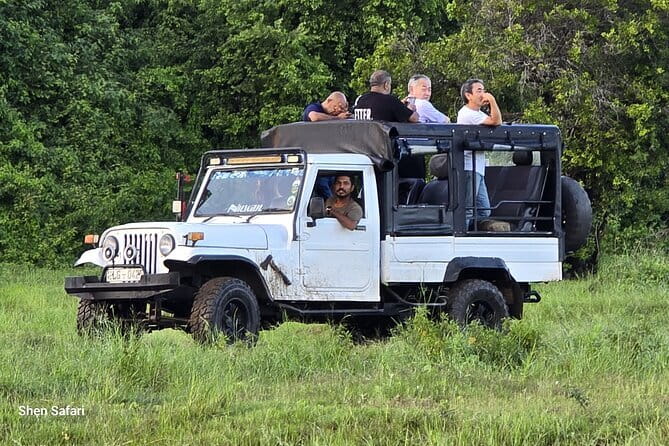 Safari Adventure in Minneriya national Park Sri Lanka - Meeting Nuwan Wild Safari: what the guide does differently
