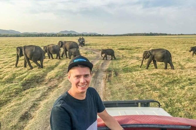 Safari Adventure in Minneriya national Park Sri Lanka - What you will see inside Minneriya, beyond elephants
