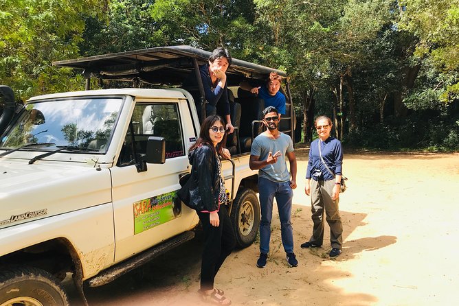 Safari at Wilpattu National Park from Negombo (All inclusive day tour) - The wildlife focus: elephants, sloth bears, leopards, and the birds that steal the show