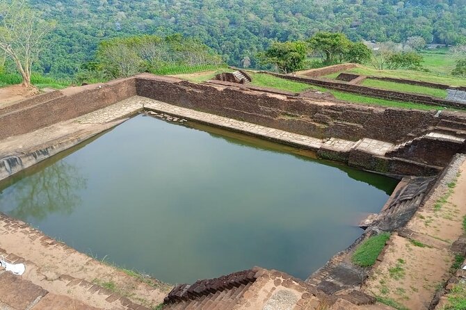 Safari Day Tour to Sigiriya Lion Rock and Golden Cave Temple - Optional safari flavor: Bullock Cart Village and Hurulu Eco Park