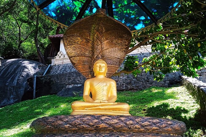 Safari Day Tour to Sigiriya Lion Rock and Golden Cave Temple - Should you book this Sigiriya and Dambulla day tour?