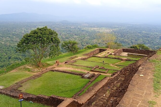 Safari Day Tour to Sigiriya Lion Rock and Golden Cave Temple - FAQ