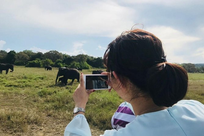 Safari Tour at Minneriya National Park - The 4WD jeep and English speaking guide factor