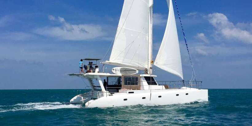 Sail Lanka Charter - 01 Night Cruise In Mirissa - Whale, dolphin, and turtle watching: what to expect and how to be realistic