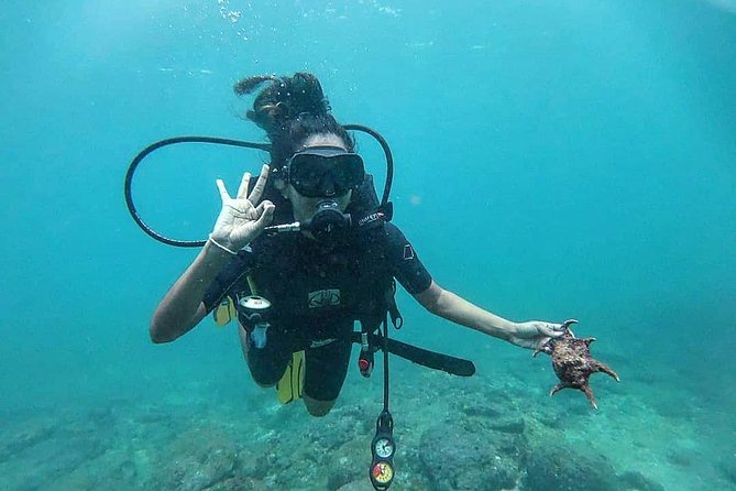 Scuba Diving at Unawatuna - Where You Meet and How the Day Feels in Unawatuna