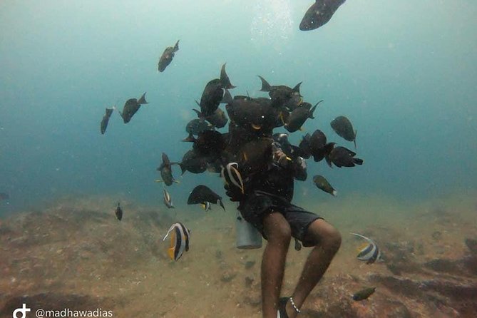 Scuba Diving at Unawatuna - Safety, Support, and the Stuff That Makes Learning Easier