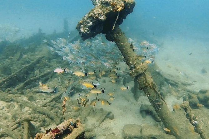 Scuba Diving at Unawatuna - What a 4-Hour Plan Means for Your Day in Galle