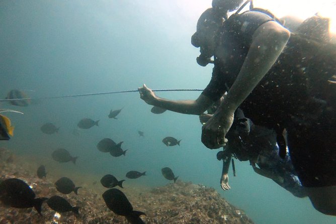 Scuba Diving in Mirissa - Price and value: what $111 covers in real terms