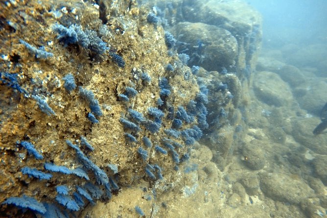 Scuba Diving in Mirissa - The 3-hour flow: pickup, gear, boat time, two water outings
