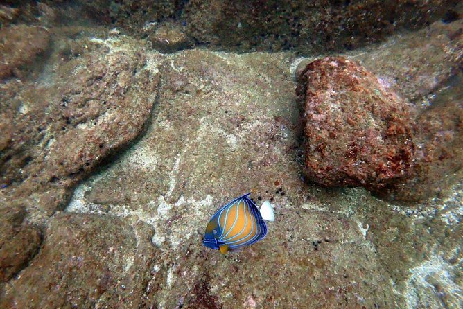 Scuba Diving in Unawatuna - Getting Oriented at Weliwatta House in Unawatuna