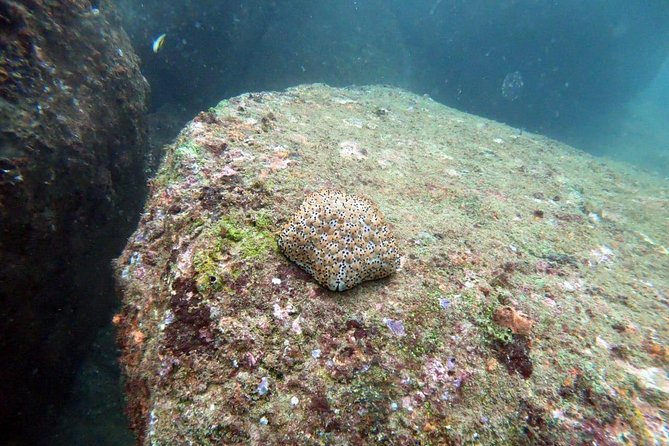 Scuba Diving in Unawatuna - Entering the Water: How Instruction Keeps It Comfortable