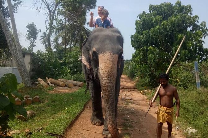 Shore Excursion From Colombo port to Ingiriya Tea Plantation & back for 2 People - Timing on a Cruise Day: 5 to 8 Hours in Real Life