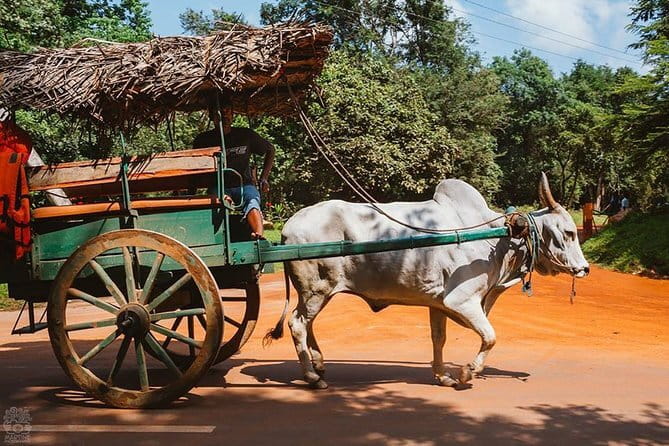 Sigiriya and Dambulla Private Full-Day Guided Tour - Sigiriya Craft Village: rural village life and a calmer break