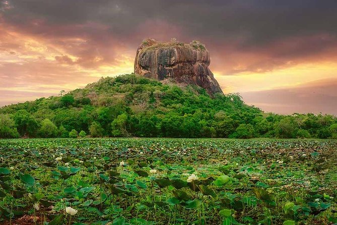 Sigiriya and Dambulla Tour (All Inclusive) - Dambulla cave temple: murals, sculptures, and respectful timing
