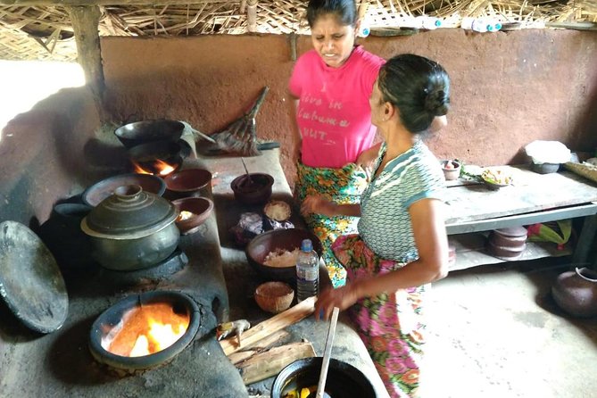 Sigiriya city tour from Negombo & Colombo with traditional Lunch. - The driving and guidance: helpful commentary, not a rushed show