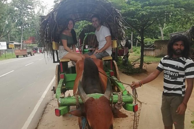 Sigiriya city tour from Negombo & Colombo with traditional Lunch. - Comfort, tickets, and small practicalities that matter