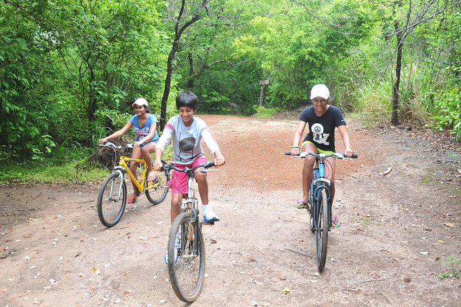 Sigiriya Cycle Tour: Explore Village Life in Sigiriya & Enjoy a Village Lunch - Visiting a village home and learning everyday routines