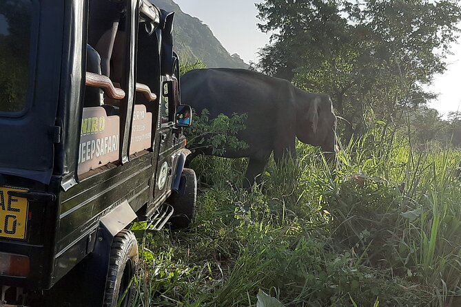 Sigiriya, Dambulla and Minneriya National Park Private Tour In - Key highlights worth knowing
