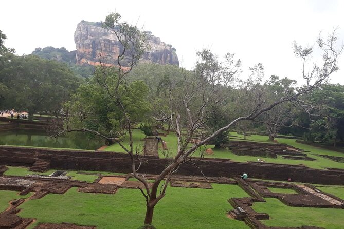 Sigiriya, Dambulla and Minneriya National Park Private Tour In - A full day linking three UNESCO icons and Sri Lanka’s elephant country