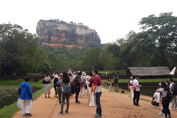 Sigiriya, Dambulla and Minneriya National Park Private Tour In - The guides make or break the day, so look for the right style