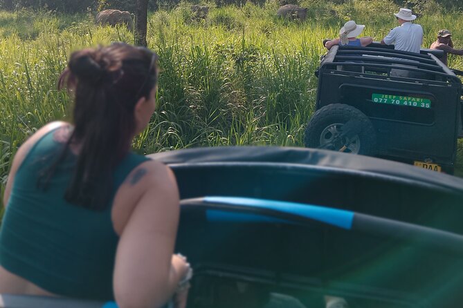 Sigiriya Dambulla Wonders Day Trip from Kandy - Pickup, Private Comfort, and a Guide Who Explains the Sights