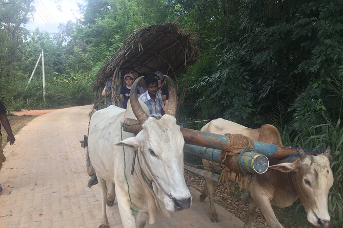 Sigiriya Day Trip with Experts - The Optional Village Lunch: A Cultural Add-On With Tradeoffs