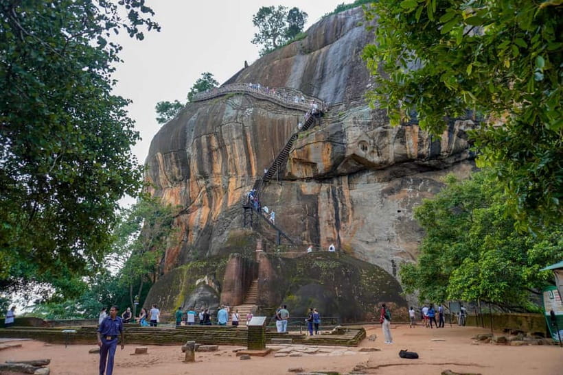 Sigiriya Lion Rock Hike & Minneriya National Park Safari - Private transport and guides: how this tour improves your odds