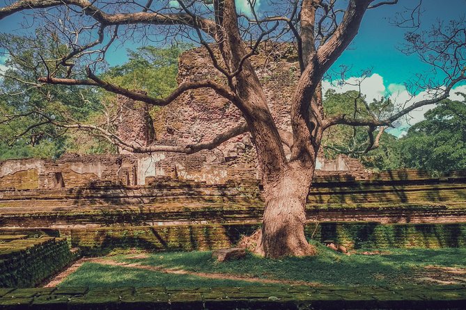 Sigiriya, Polonnaruwa & Dambulla "Trilogy" Day Tour from Colombo - Should you book the Sigiriya, Polonnaruwa & Dambulla Trilogy day tour?