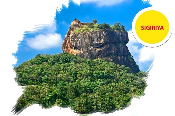 Sigiriya Rock and Dambulla Cave Temple all inclusive Private Day Trip - Dambulla Cave Temple: Five Caves, Buddha Statues, and Mural Time