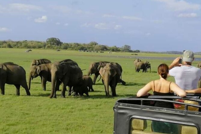 Sigiriya Rock & Cave Temple with Jeep Safari Private Day Trip - Price and Value: Is $210 Per Person Fair for This Day?