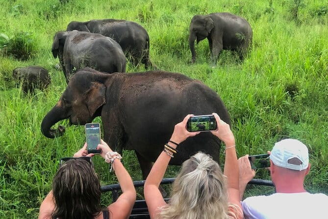 Sigiriya Rock Climb, Village Tour+Cooking Class & Elephant Safari - Key things I’d circle before you book