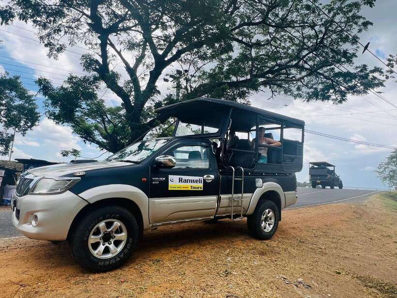 Sigiriya Rock , Dambulla Cave Temple Day Tour from Kandy” - Dambulla Cave Temple: murals, Buddha statues, and guided focus